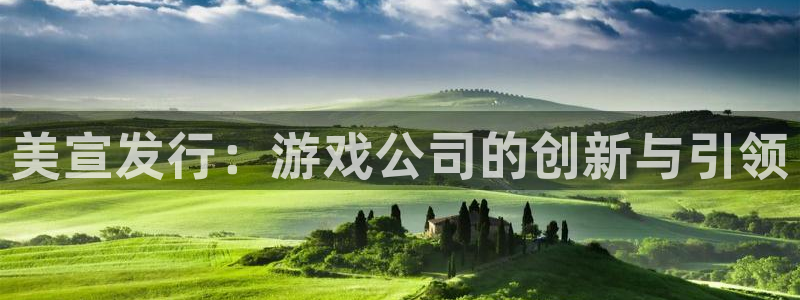 ag街机子猫图片：美宣发行：游戏公司的创新与引领