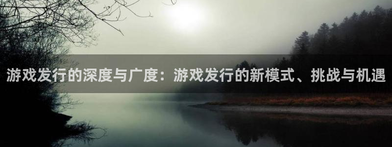 ag街机的所有小说：游戏发行的深度与广度：游戏发行的新模式、挑战与机遇
