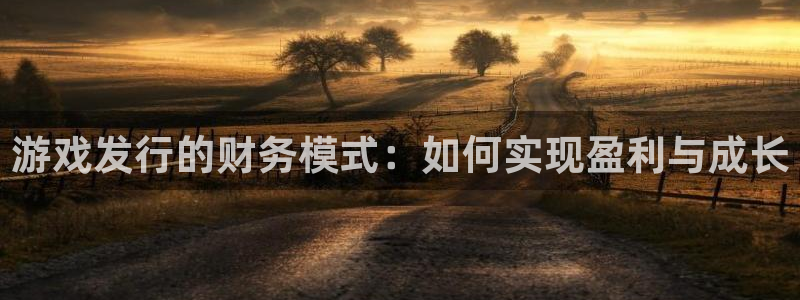 ag街机官网挂机项目怎么样啊：游戏发行的财务模式：如何实现盈利与成长
