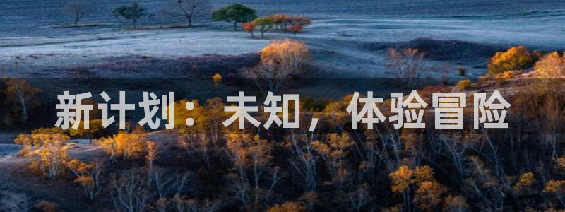 广州ag街机网络科技有限公司电话