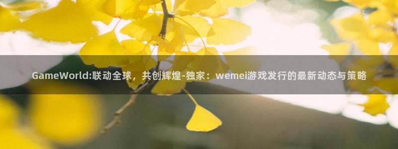 ag街机官网解绑银行卡怎么解绑：GameWorld:联动全球，共创辉煌-独家：wemei游戏发行的最新动态与策略