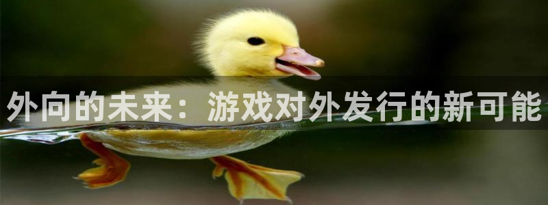 ag街机官网平台是骗局吗：外向的未来：游戏对外发行的新可能