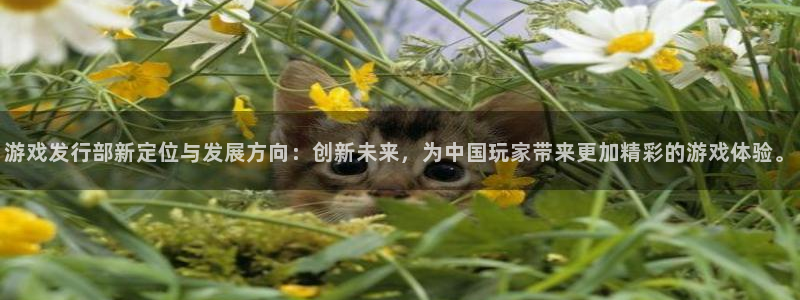 ag街机官网解绑银行卡：游戏发行部新定位与发展方向：创新未来，为中国玩家带来更加精彩的游戏体验。