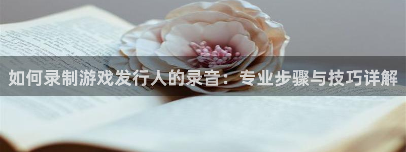 ag街机电子商务有限公司怎么样：如何录制游戏发行人的录音：专业步骤与技巧详解