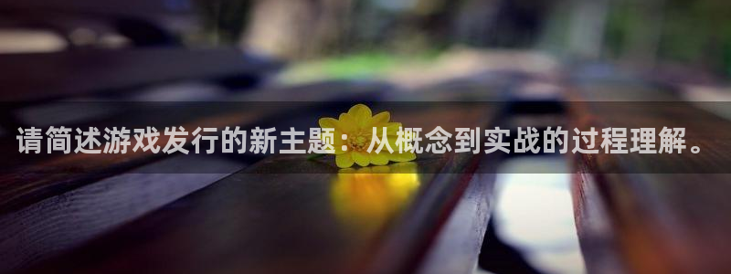 ag街机电子商务有限公司地址：请简述游戏发行的新主题：从概念到实战的过程理解。