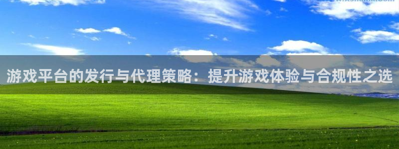 ag街机官网是什么娱乐?：游戏平台的发行与代理策略：提升游戏体验与合规性之选