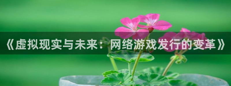 ag街机子寓意：《虚拟现实与未来：网络游戏发行的变革》
