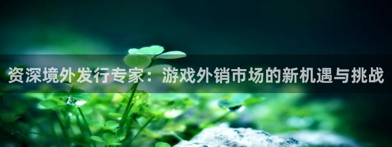 ag街机官网平台代理条件如何