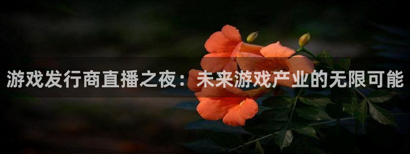 广州ag街机网络科技有限公司怎么样