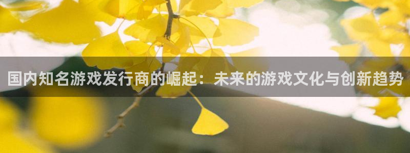 ag街机子文化创意有限公司：国内知名游戏发行商的崛起：未来的游戏文化与创新趋势
