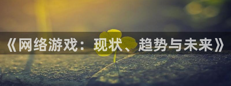 ag街机官网登录注册账号失败怎么办：《网络游戏：现状、趋势与未来》