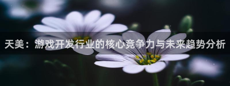广东ag街机营销策划有限公司：天美：游戏开发行业的核心竞争力与未来趋势分析