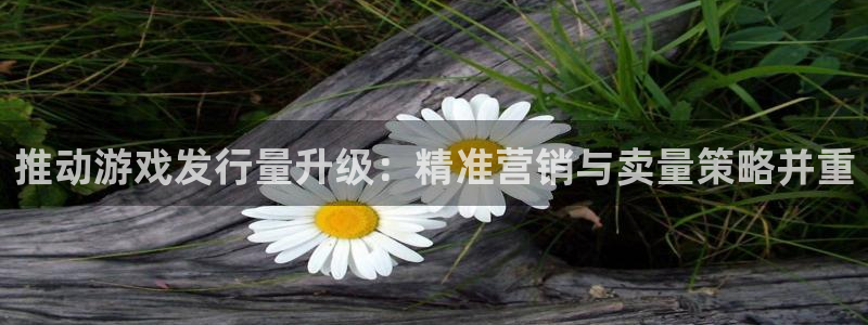 ag街机集团品牌策划机构