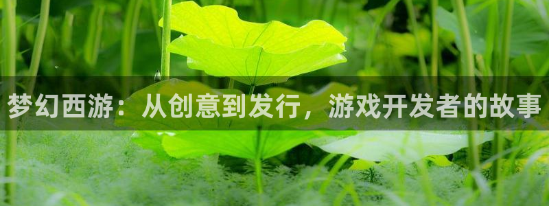 ag街机官网登录注册不了怎么回事：梦幻西游：从创意到发行，游戏开发者的故事